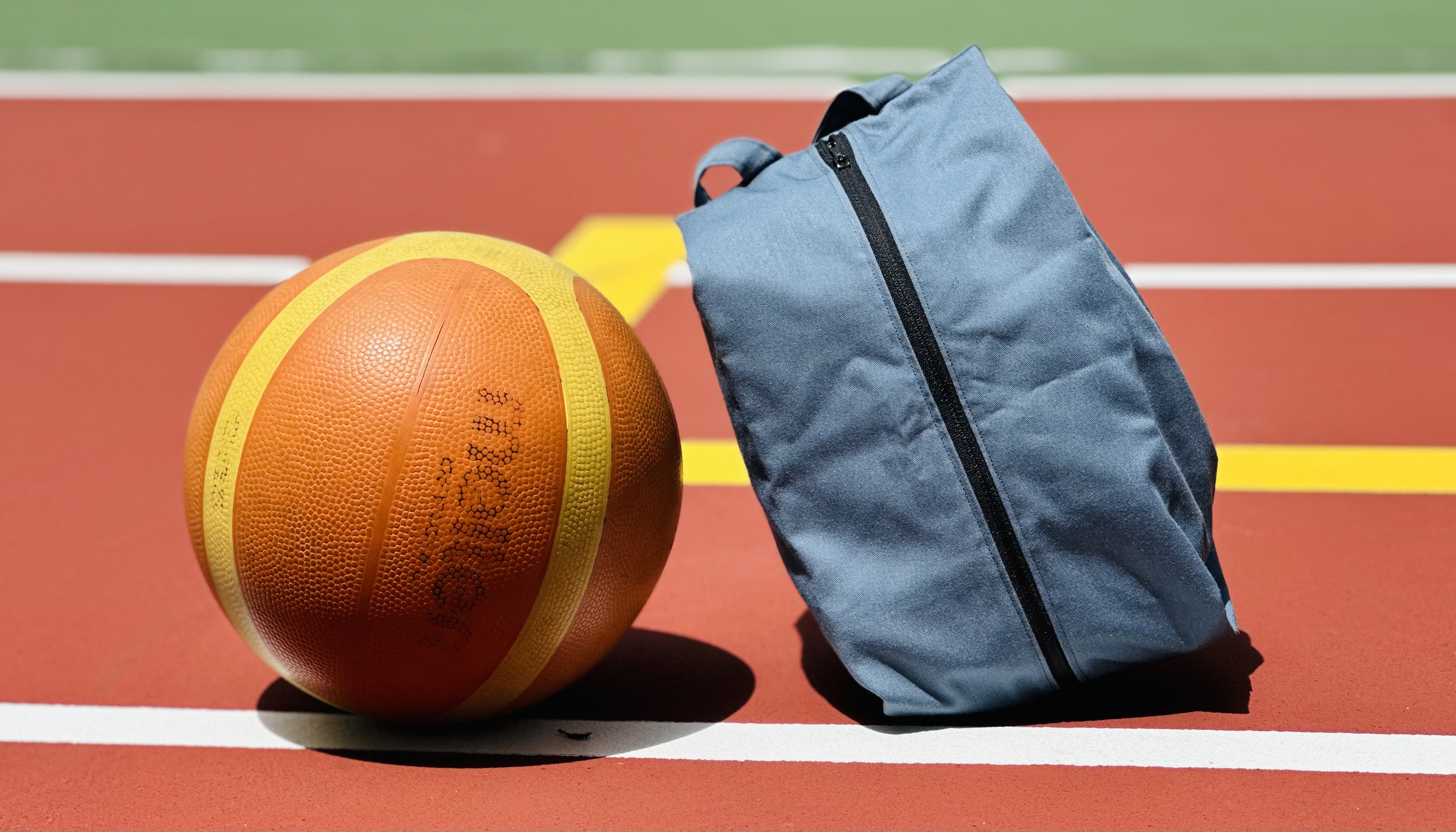 Shoebag